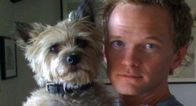 Cani degli attori di Hollywood