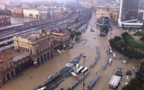 Alluvione a Genova pericolo cani gatti randagi