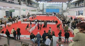 Mostra Canina Genova