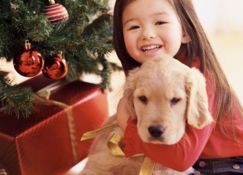 cani natale regali accessori