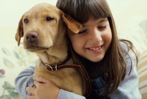 regali cani san valentino