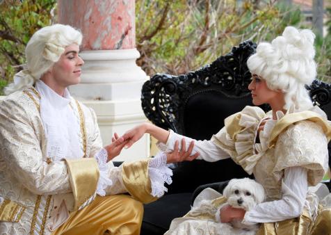 albergo ospita animai carnevale venezia