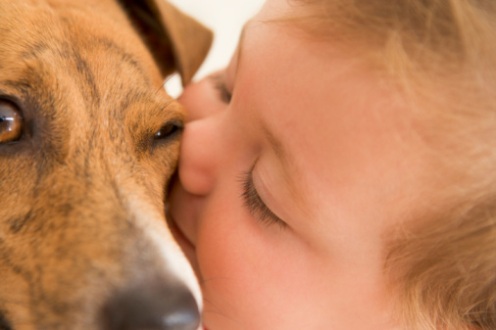 animali lezione scuola