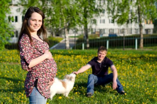 cane salute donne incinte migliora