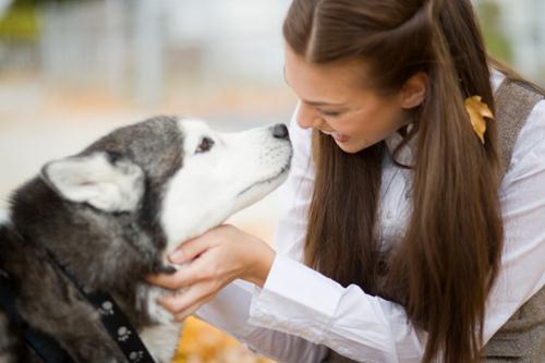 corso formativo proprietari cani