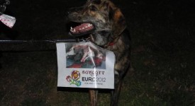 massacro cani ucraina