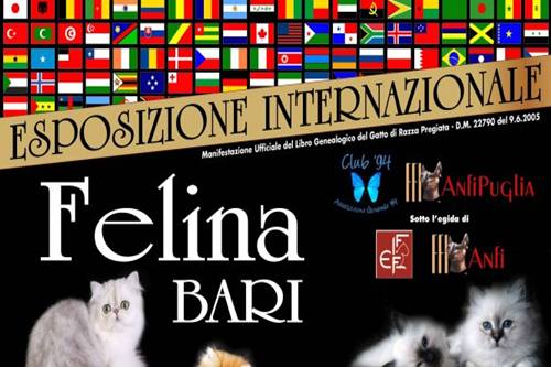Esposizione Internazionale Felina Bari 28 29 aprile 2012