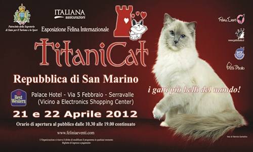 Esposizione felina internazionale Titanicat San Marino 21 22 aprile