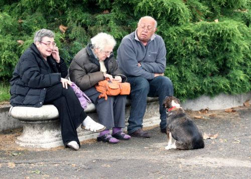 terremoto emilia romagna animali