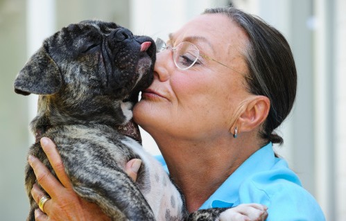 assicurazione cane