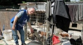 terremoto emilia oipa animali