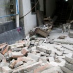 terremoto emilia animali aiuto oipa