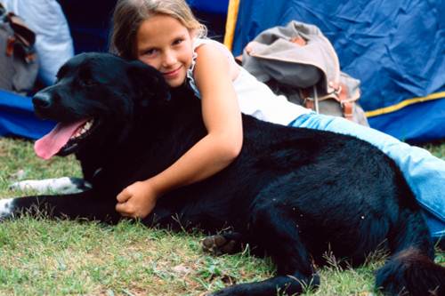 canili gattili vicino tendopoli Emilia Romagna