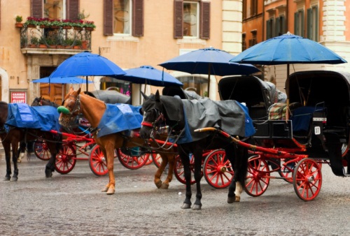 cavalli delle botticelle