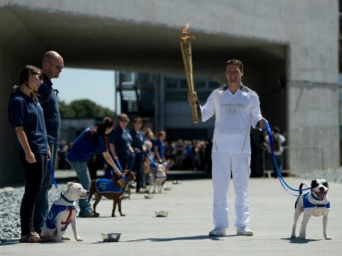 cani alle olimpiadi