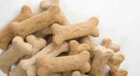 Biscotti cani fatti in casa ricette