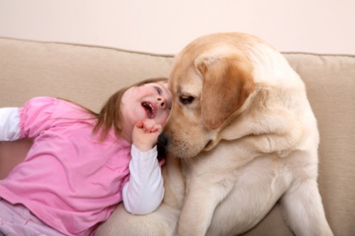 pet therapy cane bambini