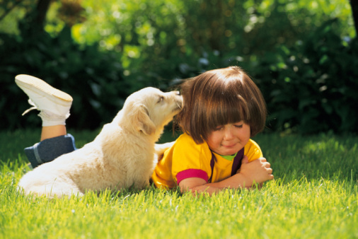 Cani salvano bambino down perso bosco