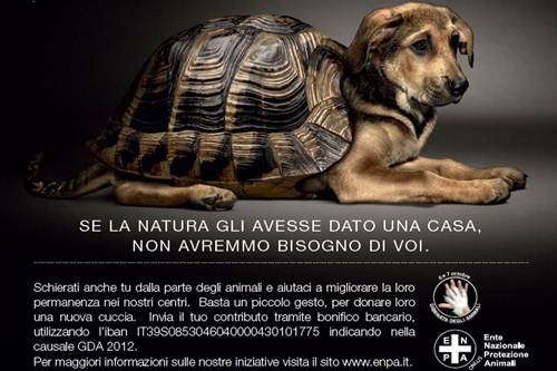 Giornata Animali 6 7 ottobre piazza ENPA