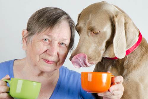 Concorso fotografico coppia cane-proprietario più orginale