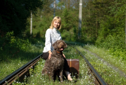 cani sui frecciarossa