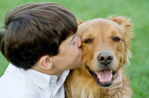 Cane e bambino che gattonano insieme