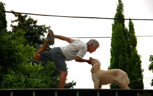 cani e yoga