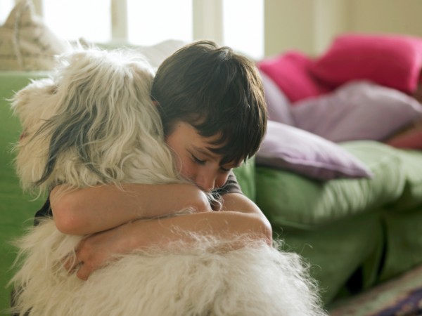 un cane per amico libro dog trainer