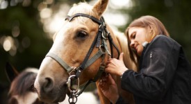 foto animali domestici preferiti italiani