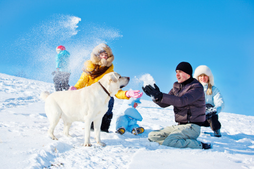 Vacanze neve cane alberghi pet friendly