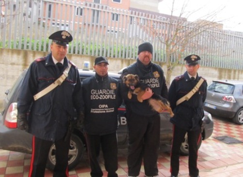 Cane murato vivo nel vano del contatore