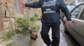 Cane murato vivo nel vano del contatore