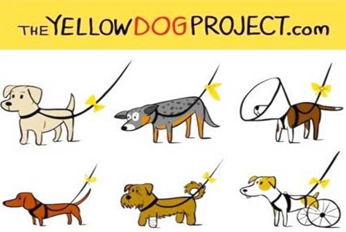 Fiocco giallo cane non avvicinatevi grazie