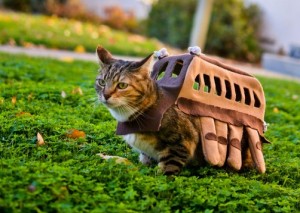 vestiti di carnevale per animali