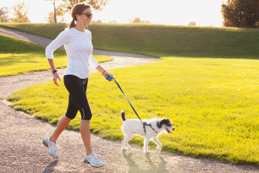 ginnastica per il cane