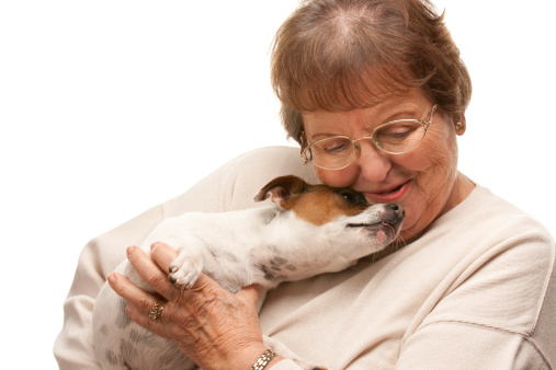 Cani gatti ospedale Prato