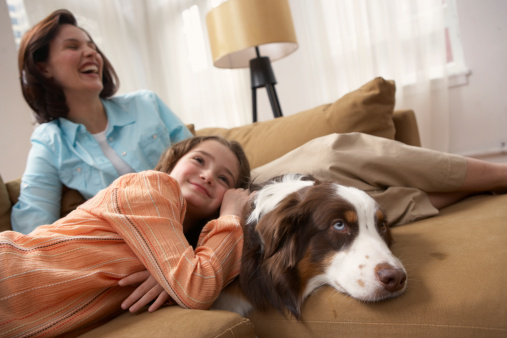 controllare gli animali domestici a distanza