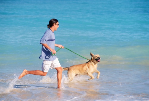 spiaggia per cani in Liguria