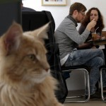 cat café a Londra