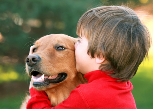 Cani bambini autistici meno ansiosi