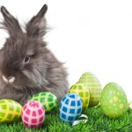 Animali a pasqua