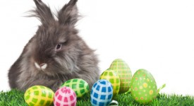 Animali a pasqua