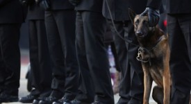 cane poliziotto fbi eroe