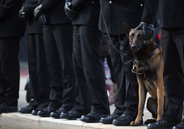 cane poliziotto fbi eroe