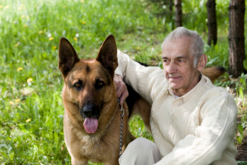 Cane salva il suo proprietario dall'ipotermia