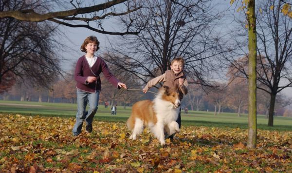 video cani e bambini