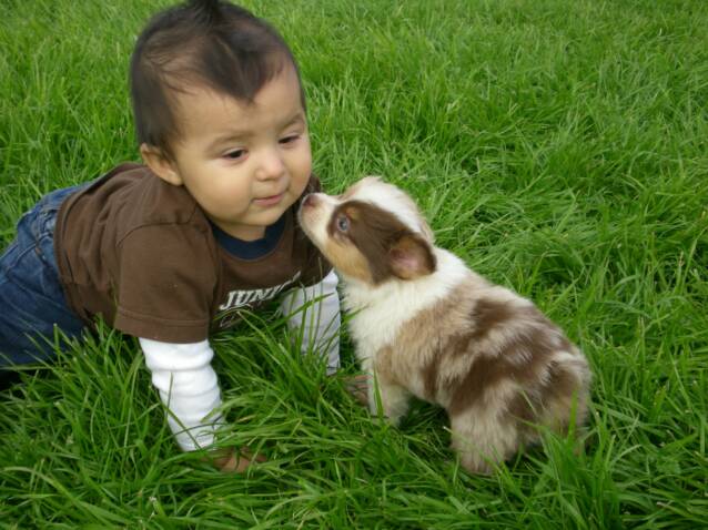 Bambini e animali