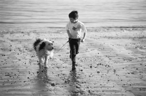 cani e bagno al mare