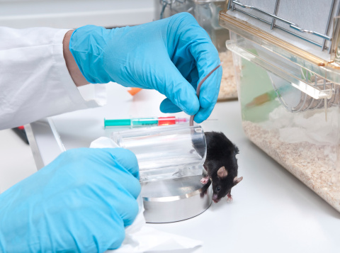 Sperimentazione animale scienziati pro-test piazza 1 giugno