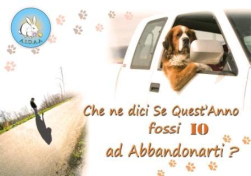 abbandoni di animali in autostrada